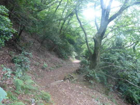 画像35